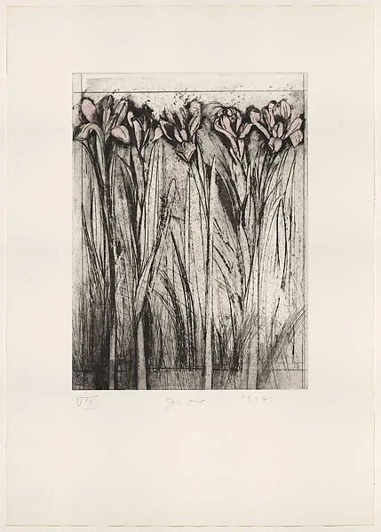 Iris — Deli Sacilotto|Mitchell Friedman|Pace Prints|Jim Dine