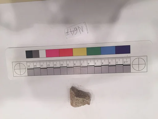 Stucco Fragment