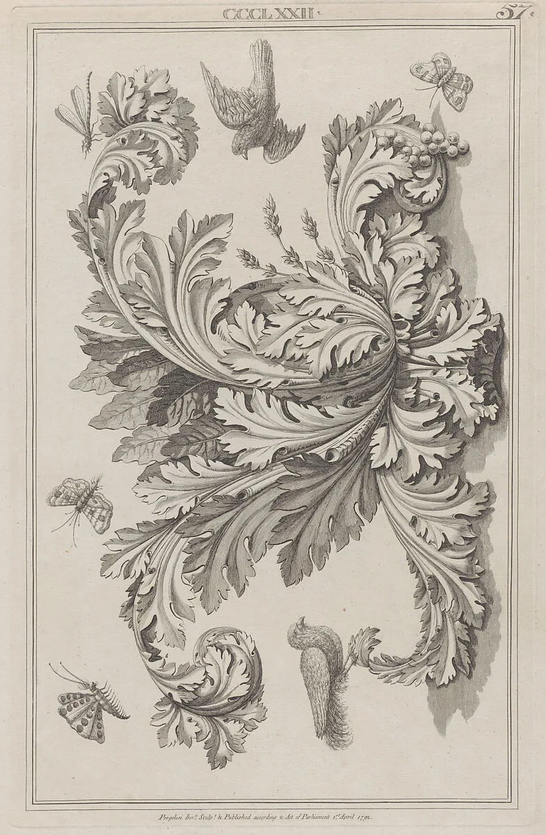 Acanthus Leaves, Birds and Insects, no. CCCLXXII, plate 57 from "Designs for Various Ornaments" — Michelangelo Pergolesi