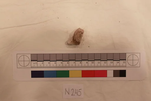 Stucco Fragment