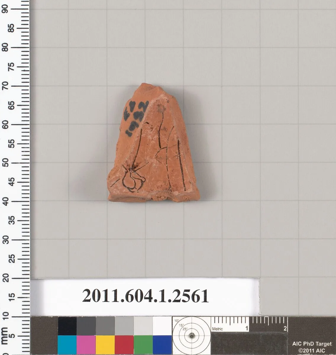 Terracotta fragment of a kylix (drinking cup) — Unknown