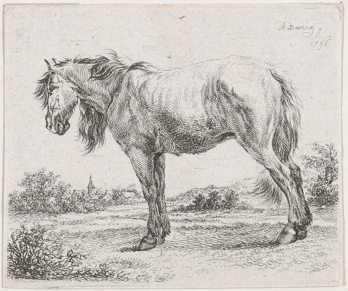 Horse standing on a meadow in profile to left — Adam von Bartsch