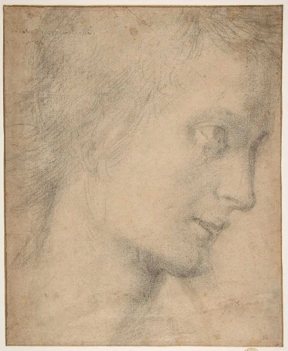 Head of a Youth in Profile (recto); Study of a Seated Figure (verso) — Giovanni Antonio Sogliani