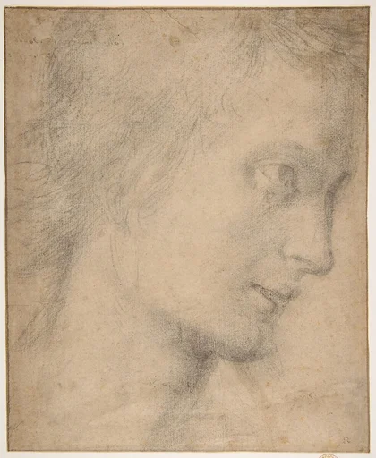 Head of a Youth in Profile (recto); Study of a Seated Figure (verso)
