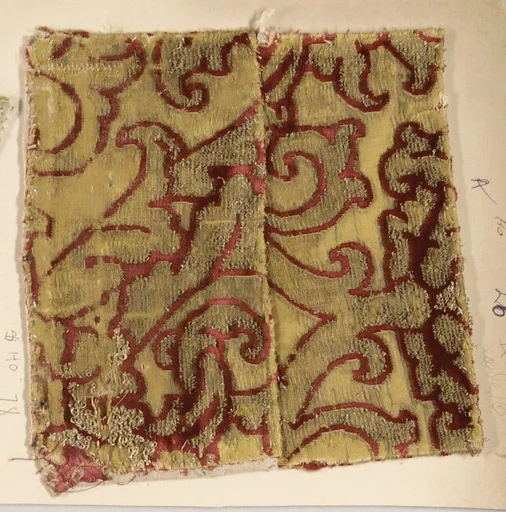 Fragment of velvet
