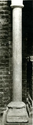 Column Shaft