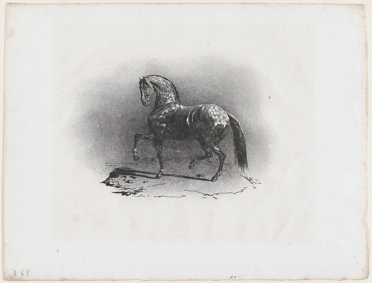 Dappled Horse — Théodore Gericault