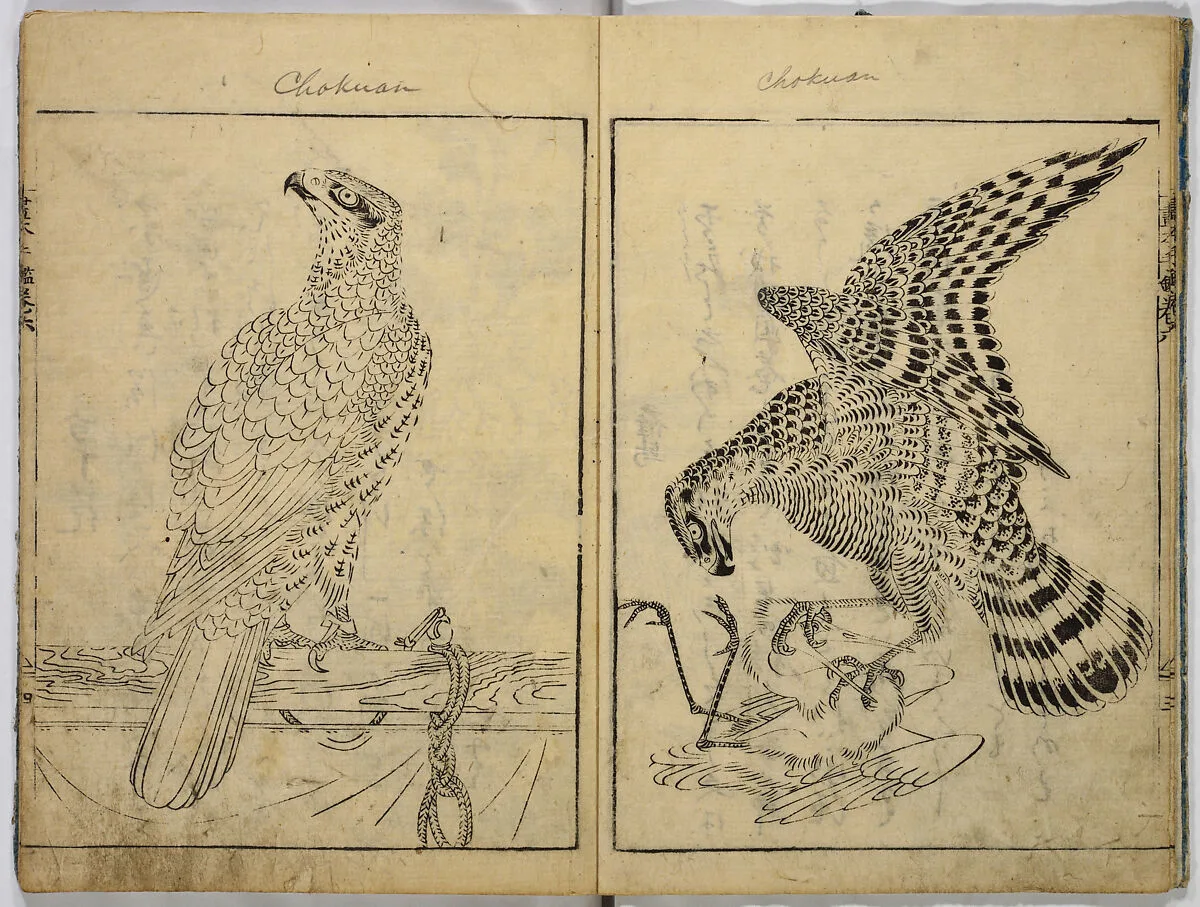 Untitled — Ooka Shunboku