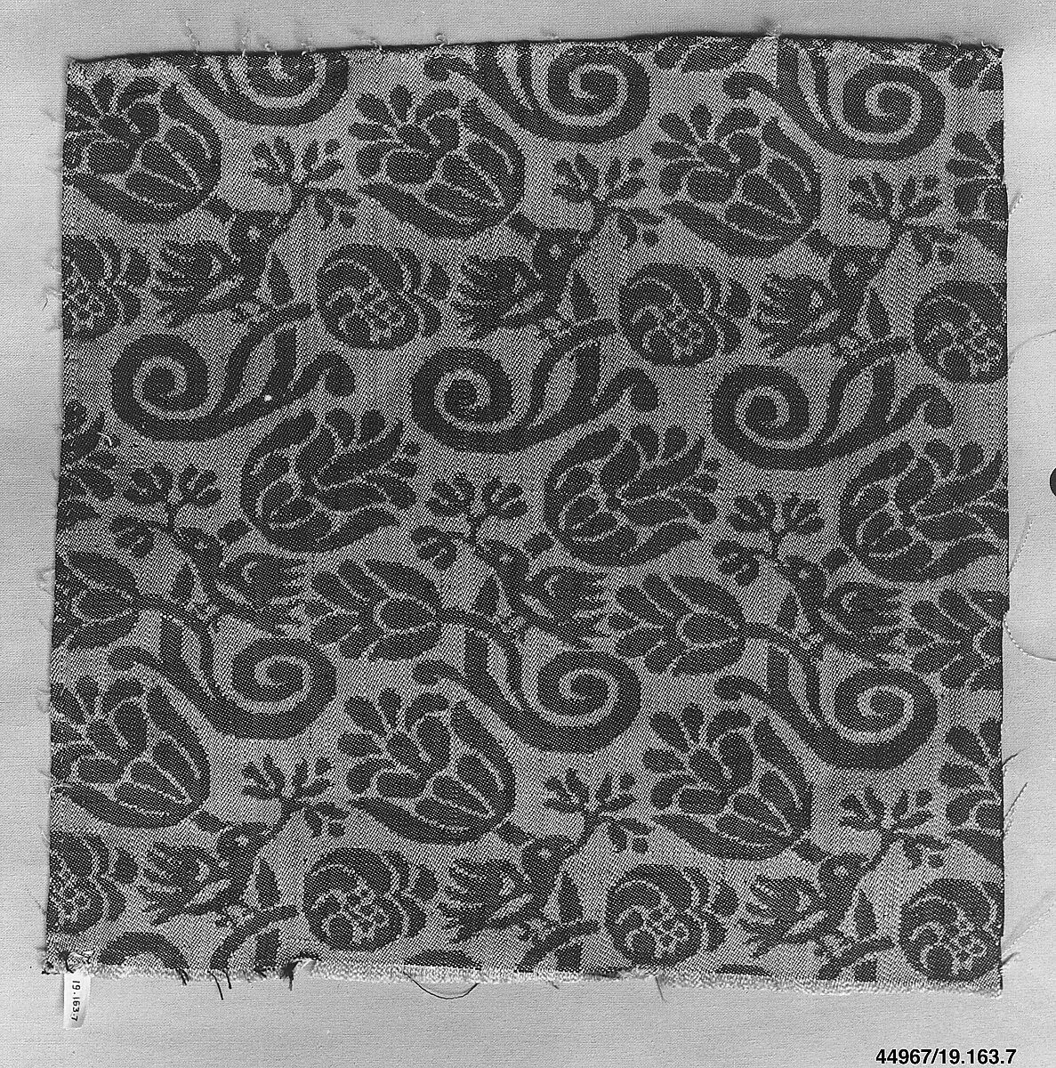 Fragment — Unknown