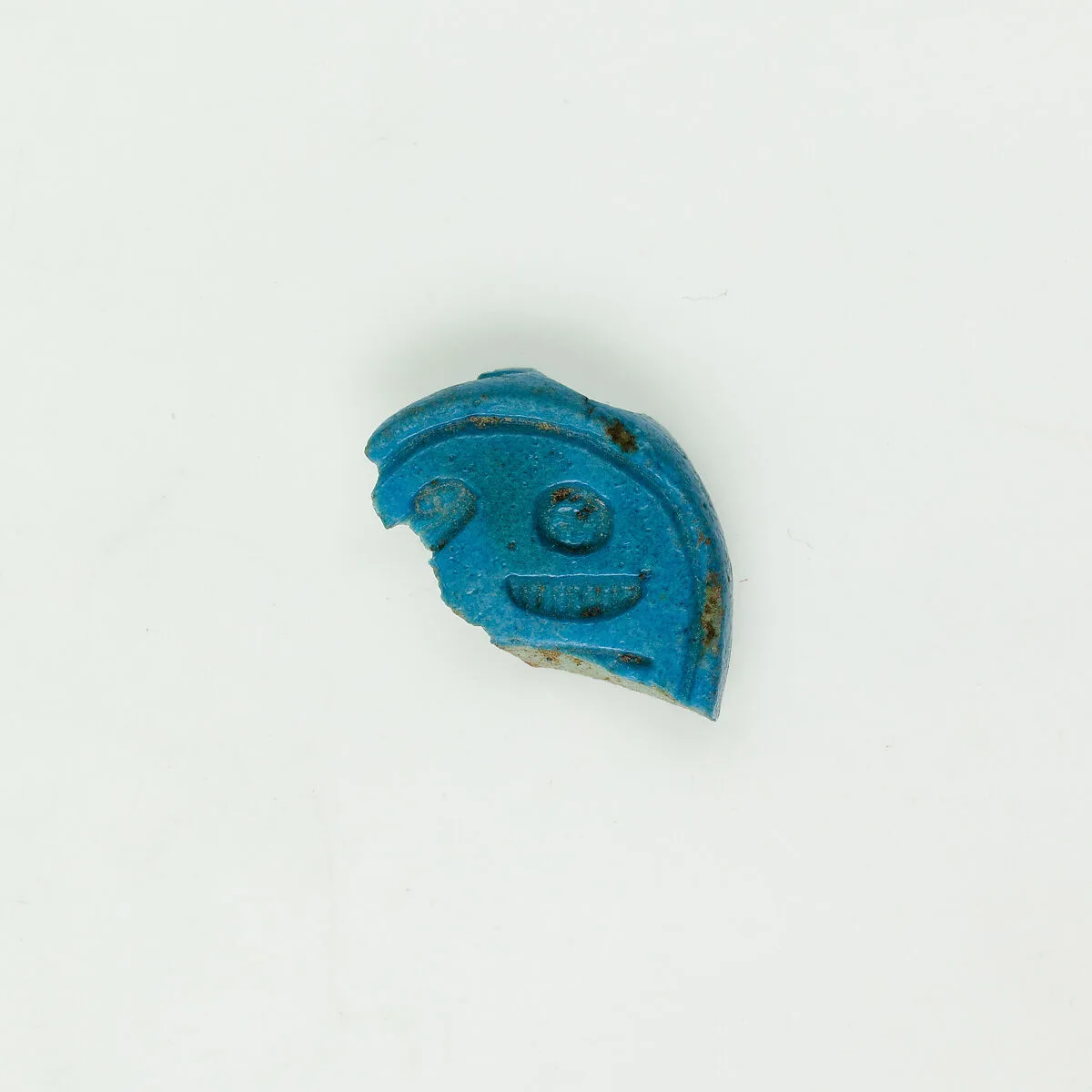 Scarab fragment — Unknown