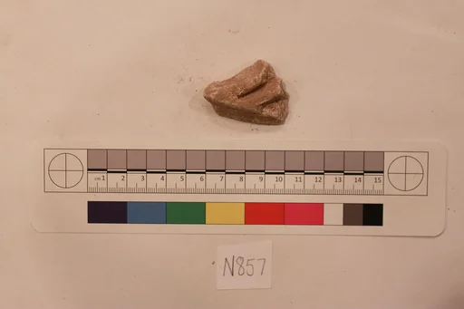Stucco Fragment