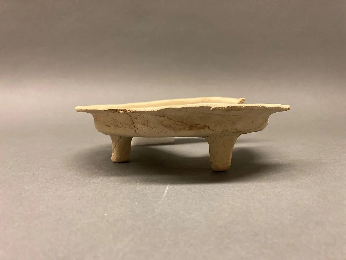 Dish — Unknown
