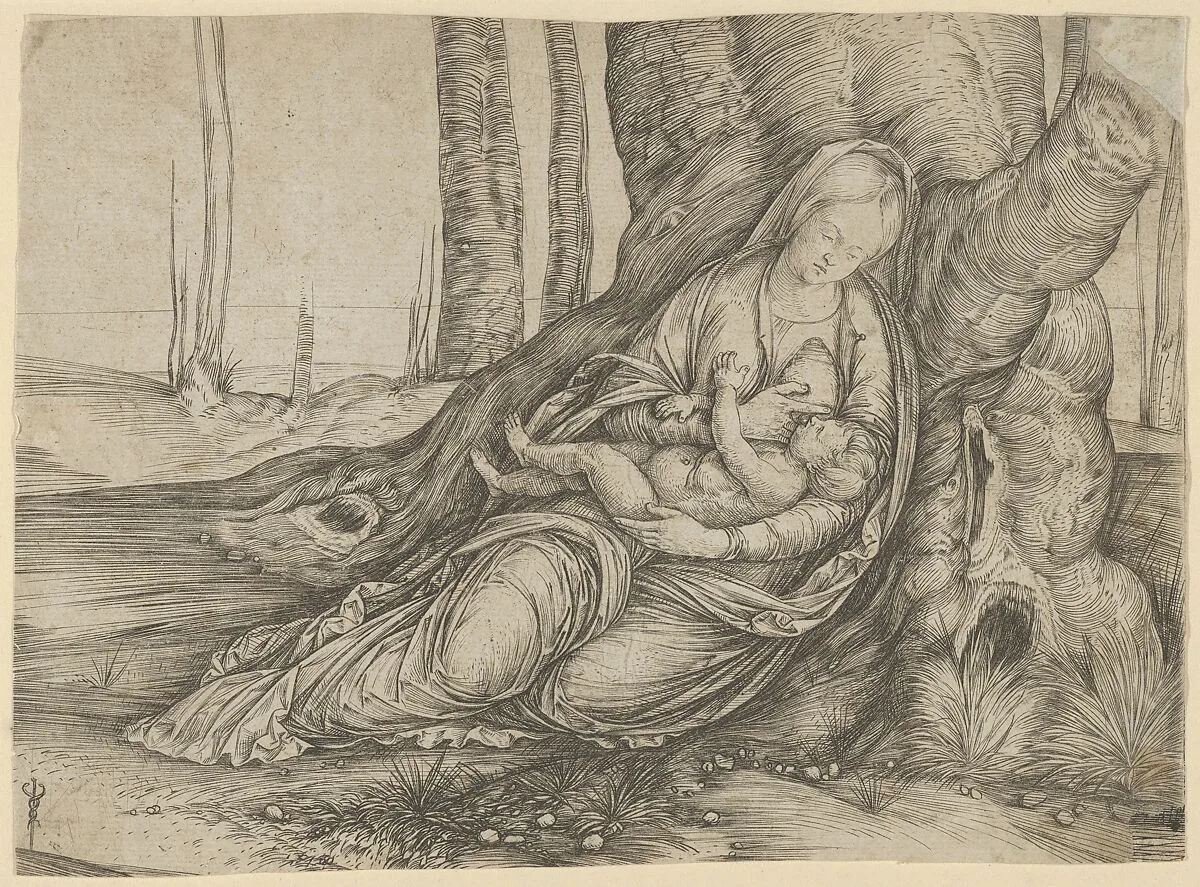 The Madonna nursing the Christ Child at the foot of a tree — Jacopo de' Barbari
