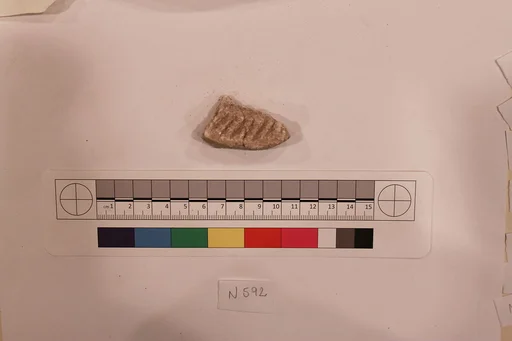 Stucco Fragment