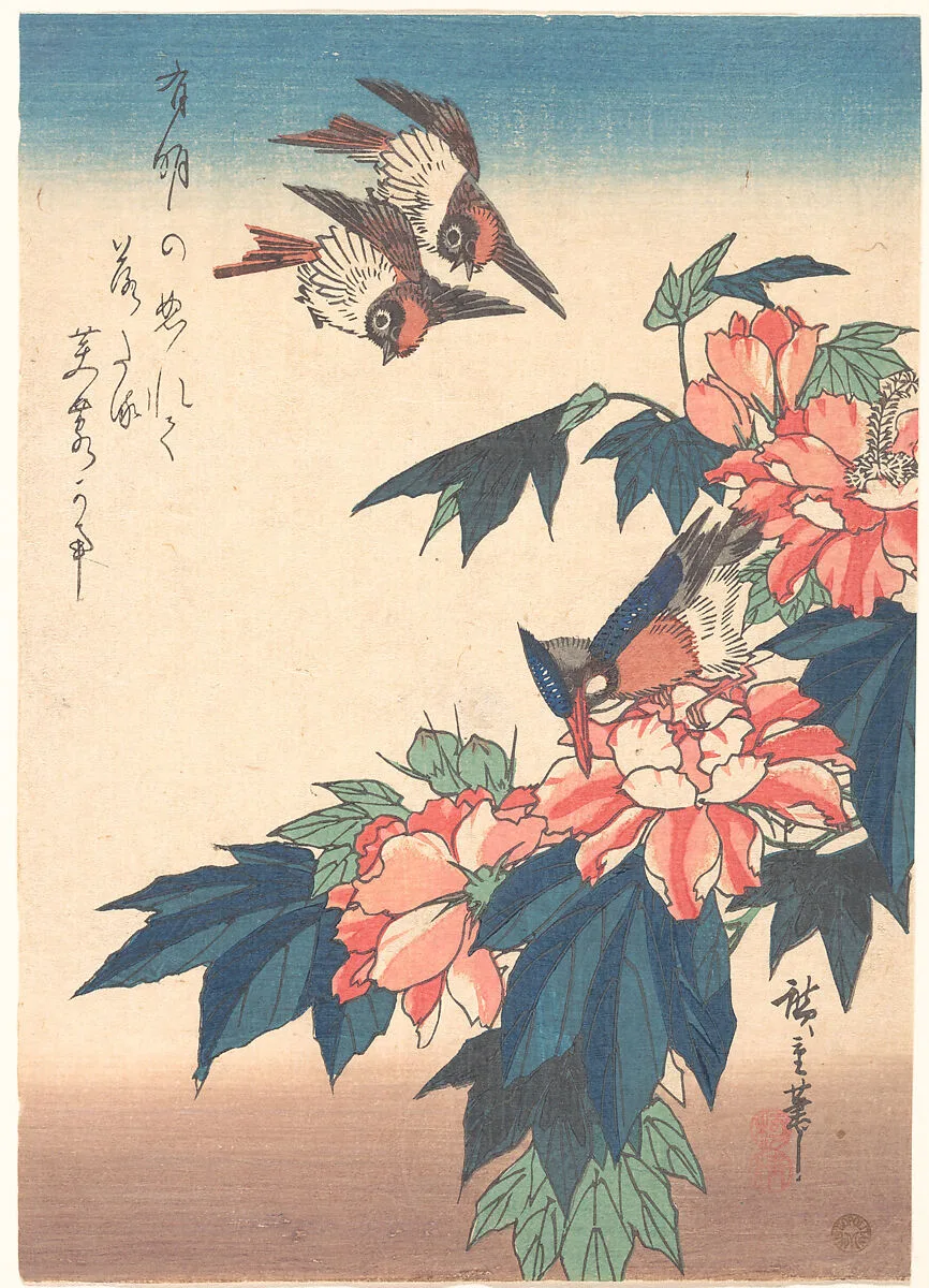 紅蜀葵に燕と川蝉図|Swallows and Kingfisher with Rose Mallows — Utagawa Hiroshige