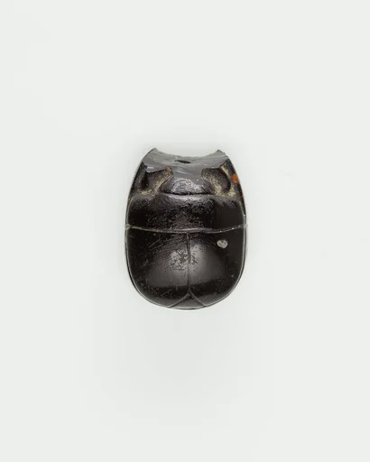 Scarab