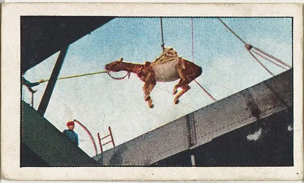 Card No. 216, Hoisting Cavalry Horses Aboard a Transport, from the World War I Scenes series (T121) issued by Sweet Caporal Cigarettes — American Tobacco Company|Underwood & Underwood
