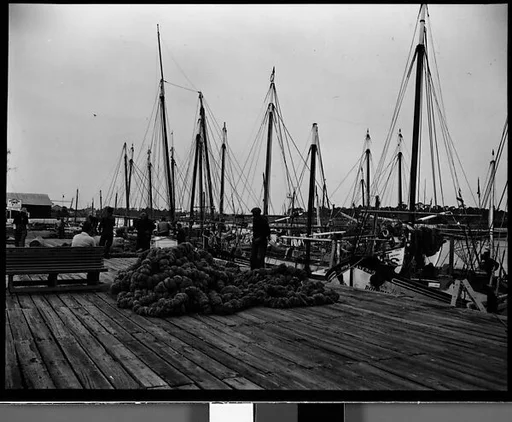 [Sponges on Wharf, Tarpon Springs, Florida]