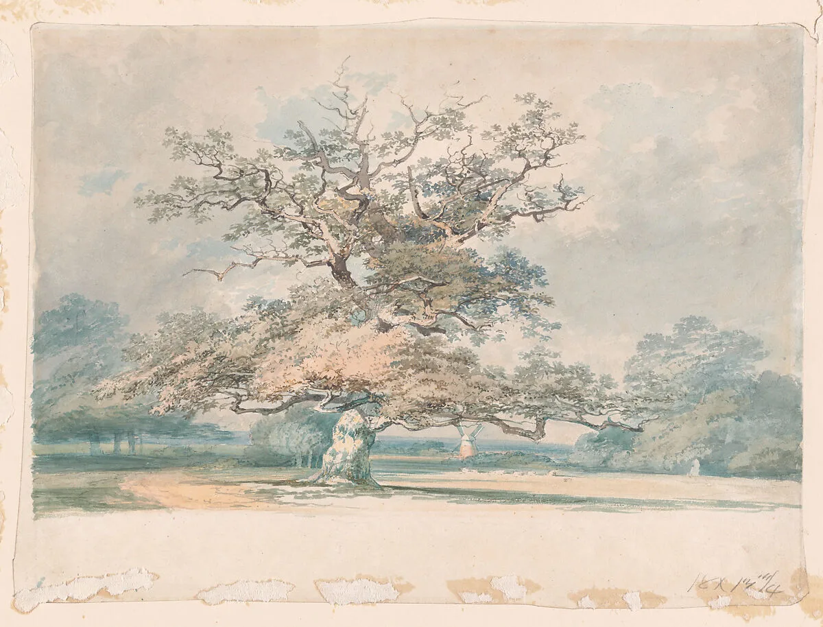 A Landscape with an Old Oak (or Beech) Tree — Joseph Mallord William Turner