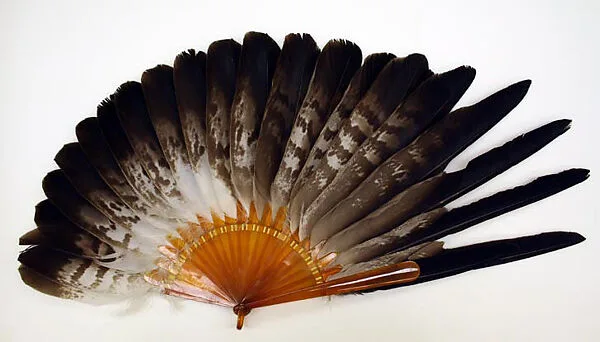 Fan — Unknown