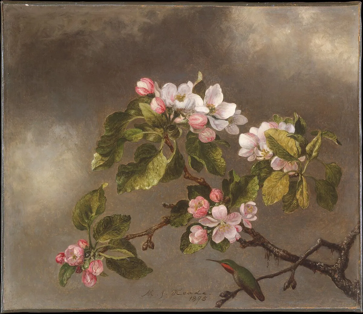 Hummingbird and Apple Blossoms — Martin Johnson Heade