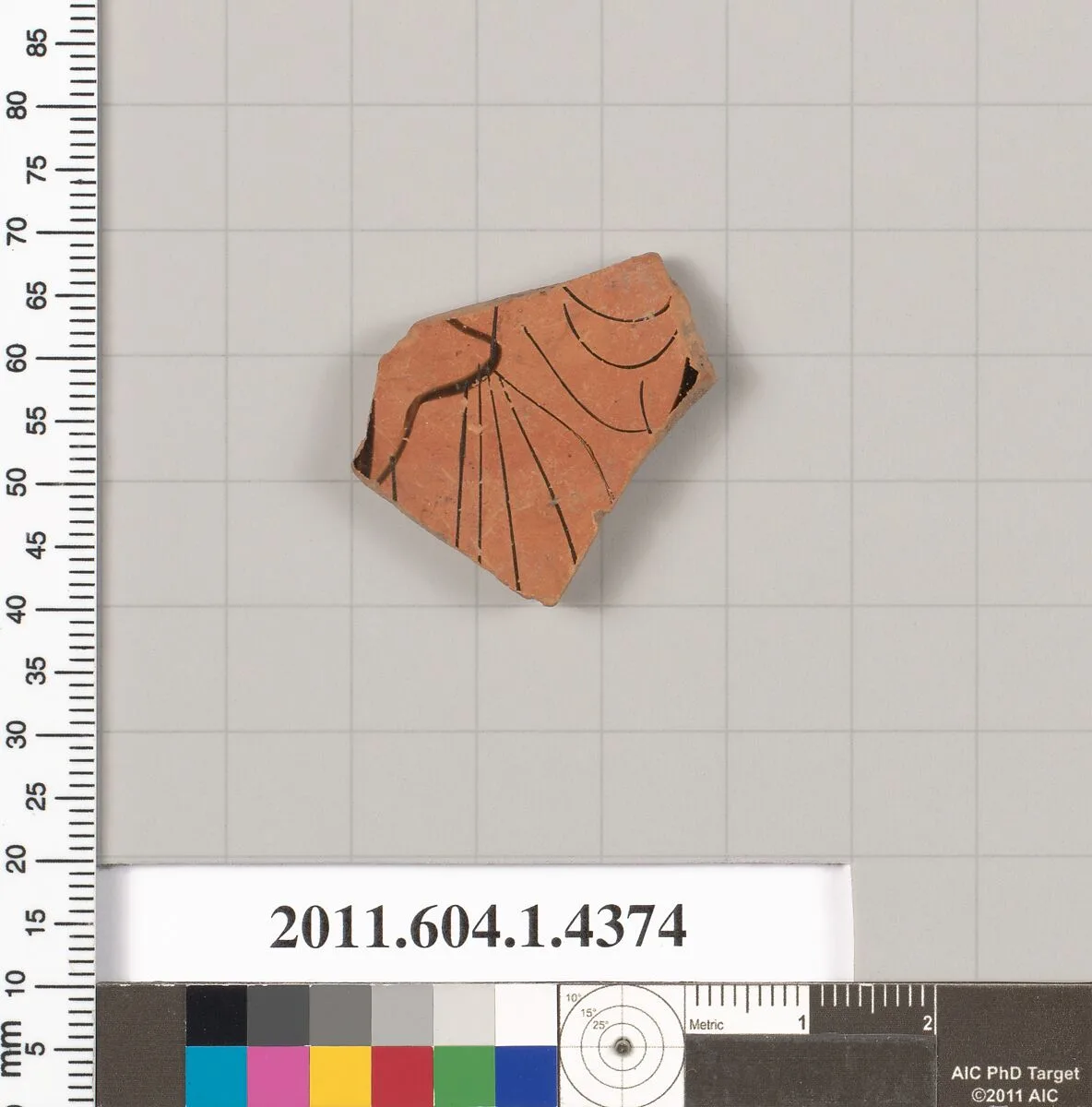 Terracotta fragment of a kylix (drinking cup) — Unknown
