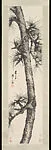 清/現代 湯滌 古松圖 軸|Pine — Tang Di