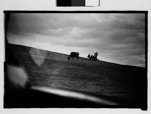 [People and Grazing Cattle on Levee, From Moving Automobile, New Orleans Vicinity, Louisiana]