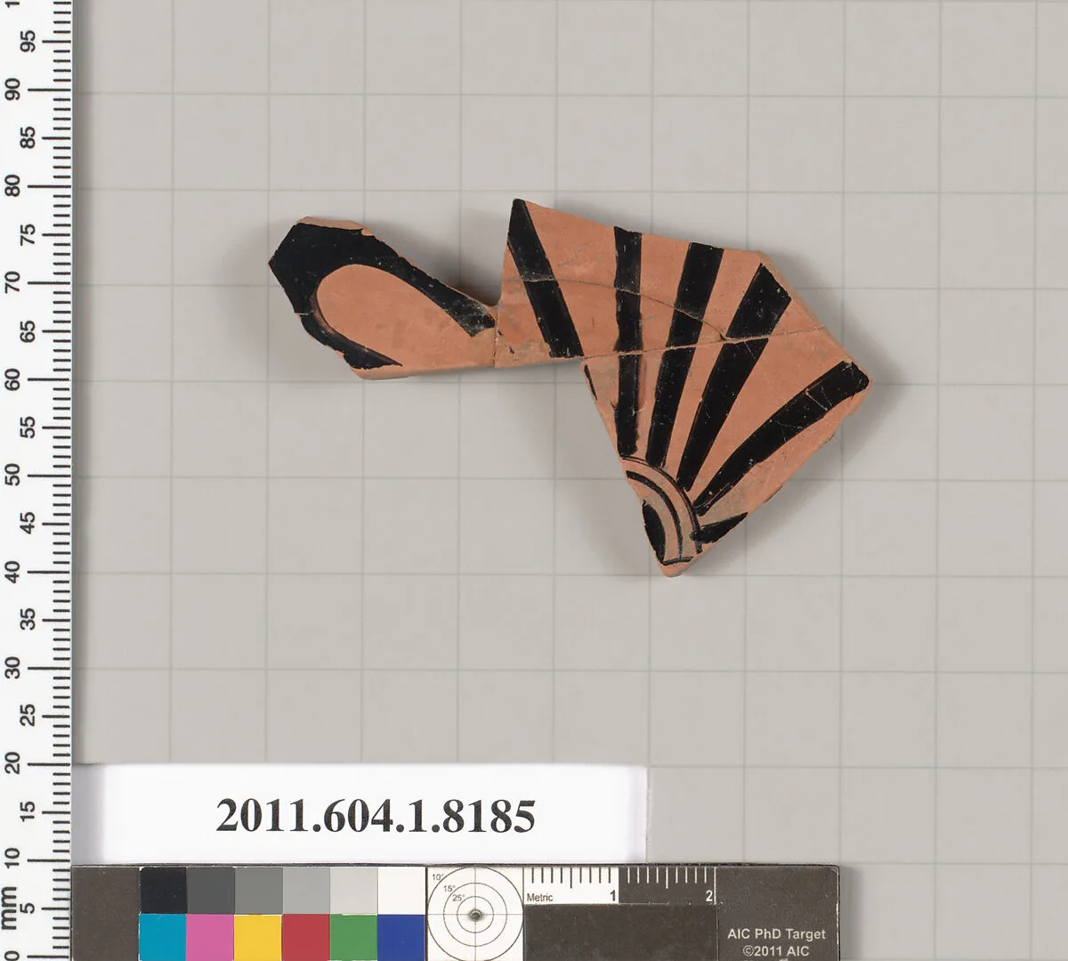 Terracotta fragment of a kylix (drinking cup) — Unknown