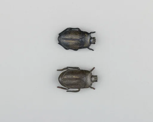 Pair of Sword-Grip Ornaments (Menuki)