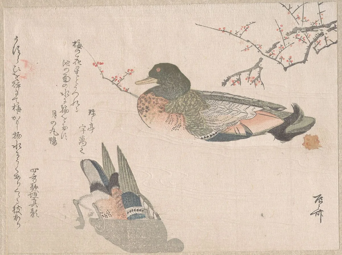 Untitled — Ryūryūkyo Shinsai