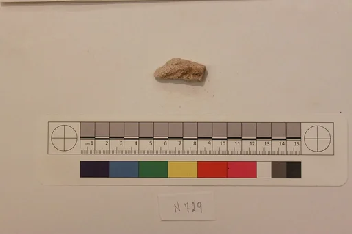 Stucco Fragment