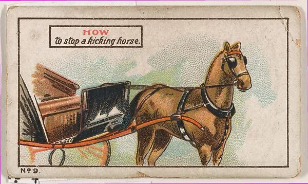 How to Stop a Kicking Horse, No. 9, bakery insert card from the How To Do It series (D45), issued by the Welle-Boettler Bakery Company — Welle-Boettler Bakery Company