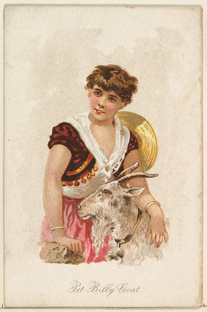 Pet Billy Goat, from the Household Pets series (N194) issued by Wm. S. Kimball & Co. — William S. Kimball & Company|Julius Bien & Co.|American Tobacco Company