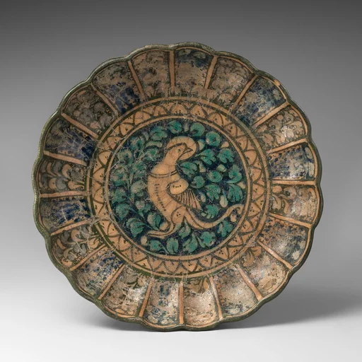 Dish