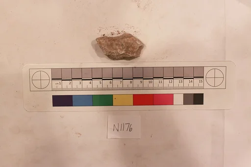 Stucco Fragment