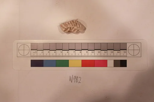 Stucco Fragment