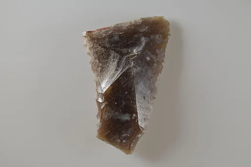 Sickle Insert