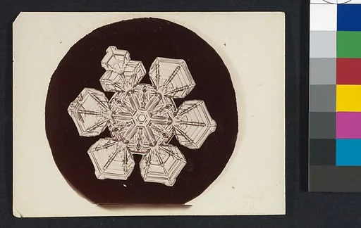 [Snow Crystal]