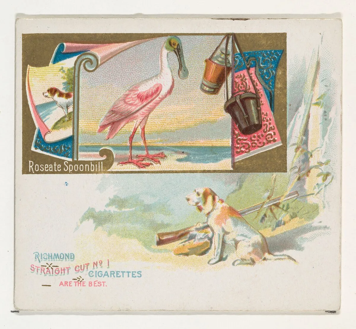 Roseate Spoonbill, from the Game Birds series (N40) for Allen & Ginter Cigarettes — Allen & Ginter