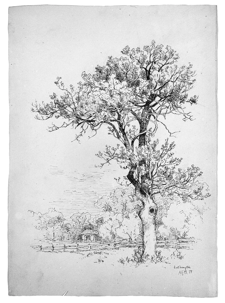 East Hampton, Long Island — Andrew Fisher Bunner