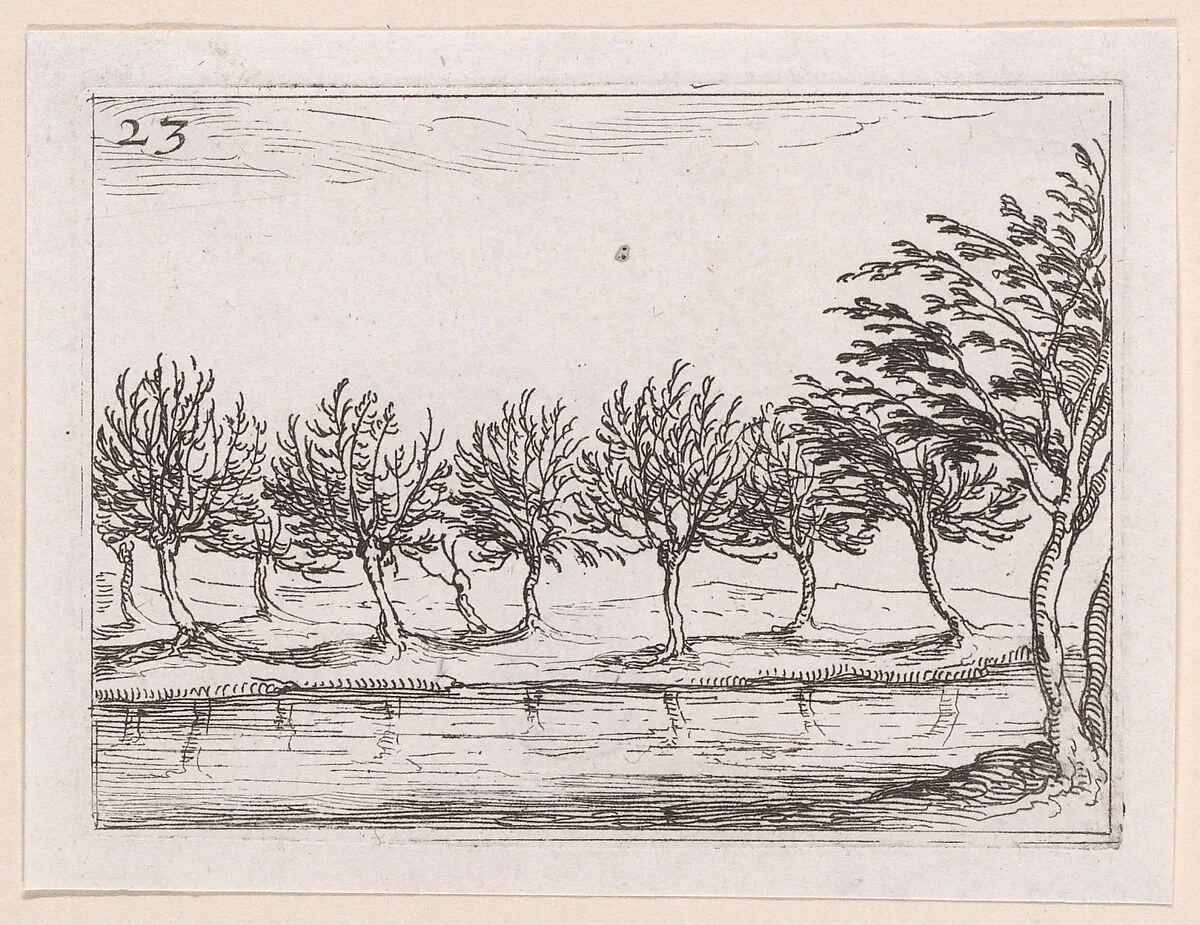 Le Saules au Bord de l'Eau (The Willows at the Waterfront), from Lux Claustri ou La Lumière du Cloitre (The Light of the Cloisters), plate 23 — Jacques Callot|François Langlois