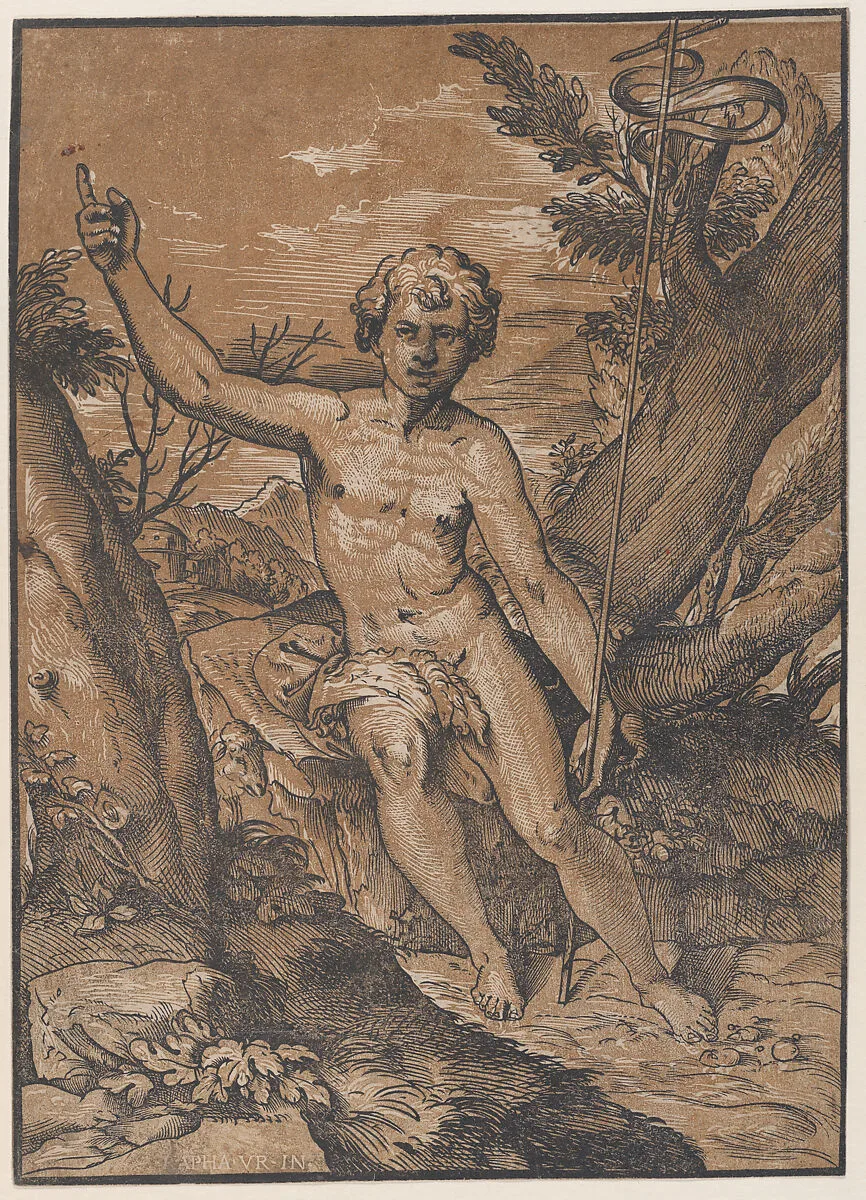 The young Saint John the Baptist in the wilderness — Ugo da Carpi|Raphael (Raffaello Sanzio or Santi)