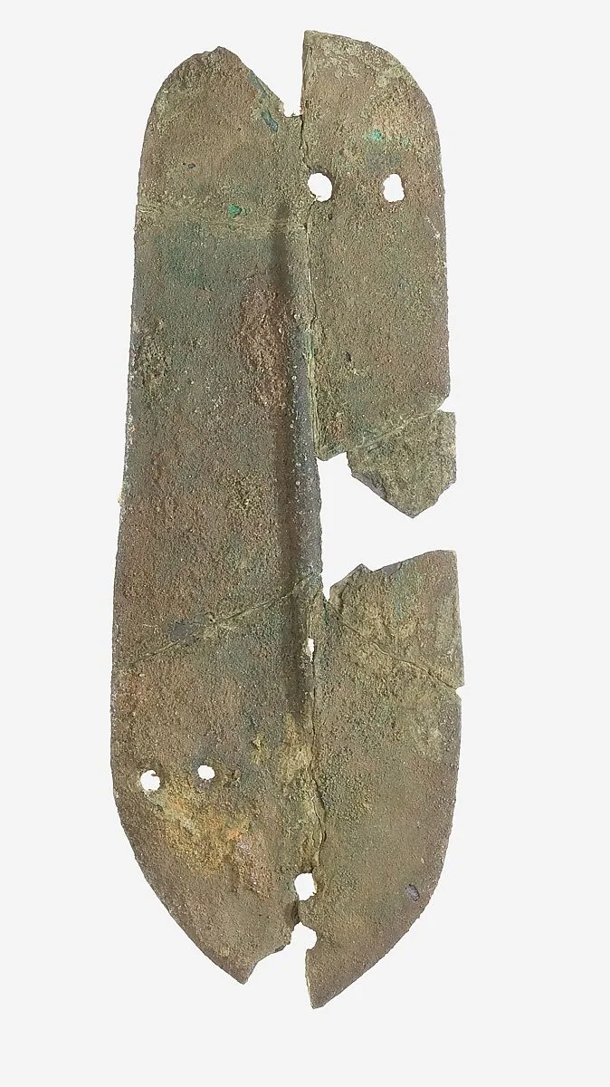 Scale from Armor — Unknown