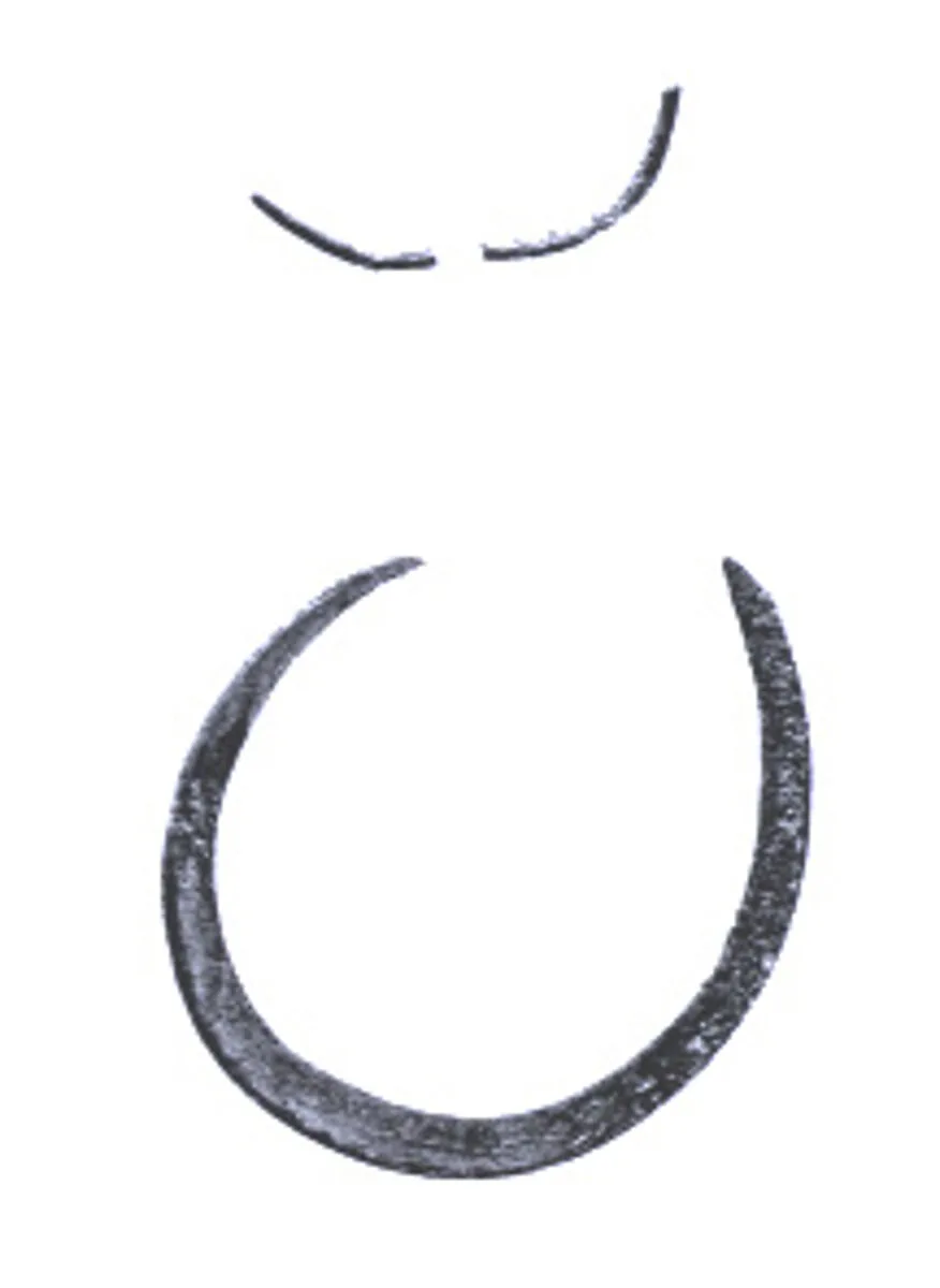 Bracelet (?) fragments — Unknown
