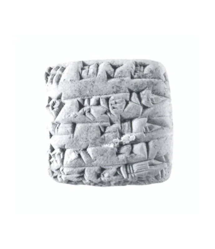 Cuneiform tablet: receipt of unshorn sheep — Unknown