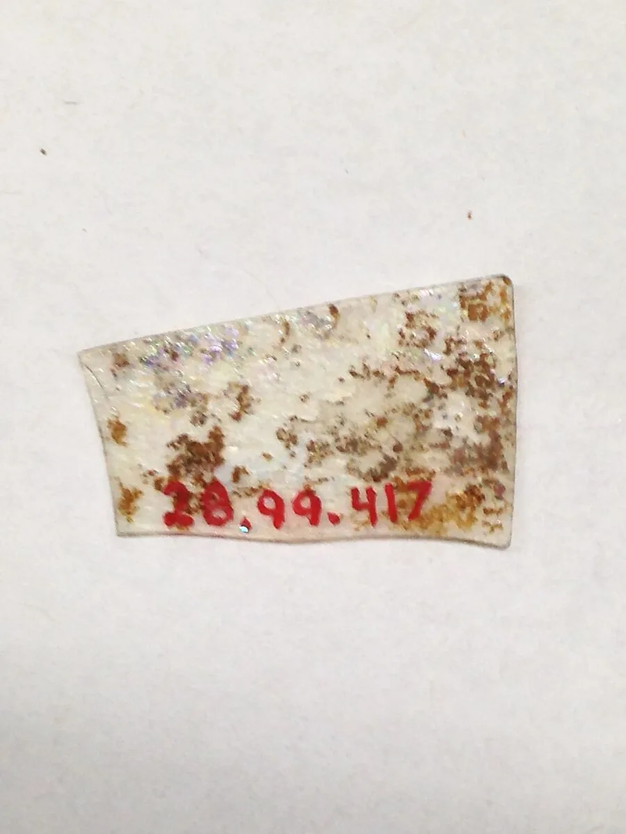 Fragment — Unknown