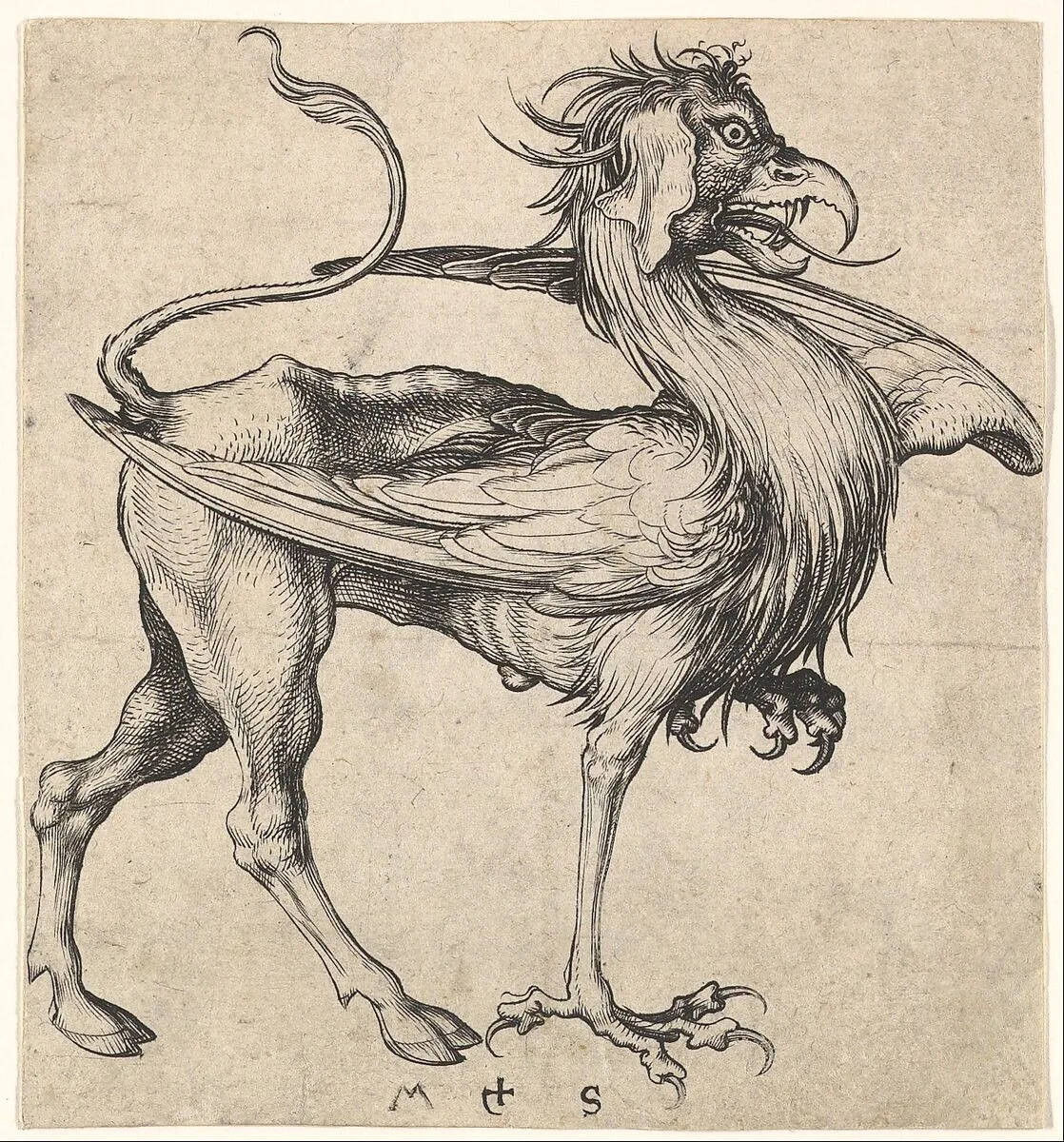 Griffin — Martin Schongauer