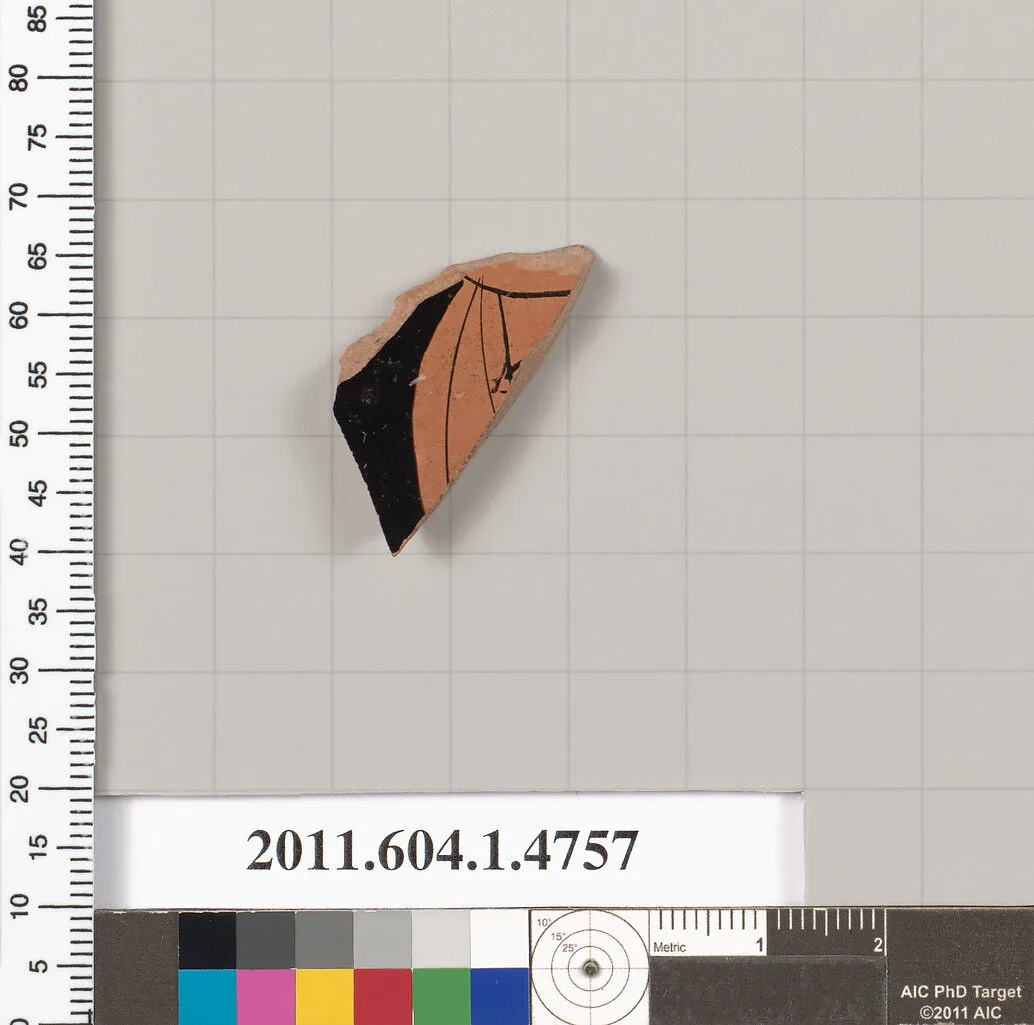 Terracotta fragment of a kylix (drinking cup) — Unknown