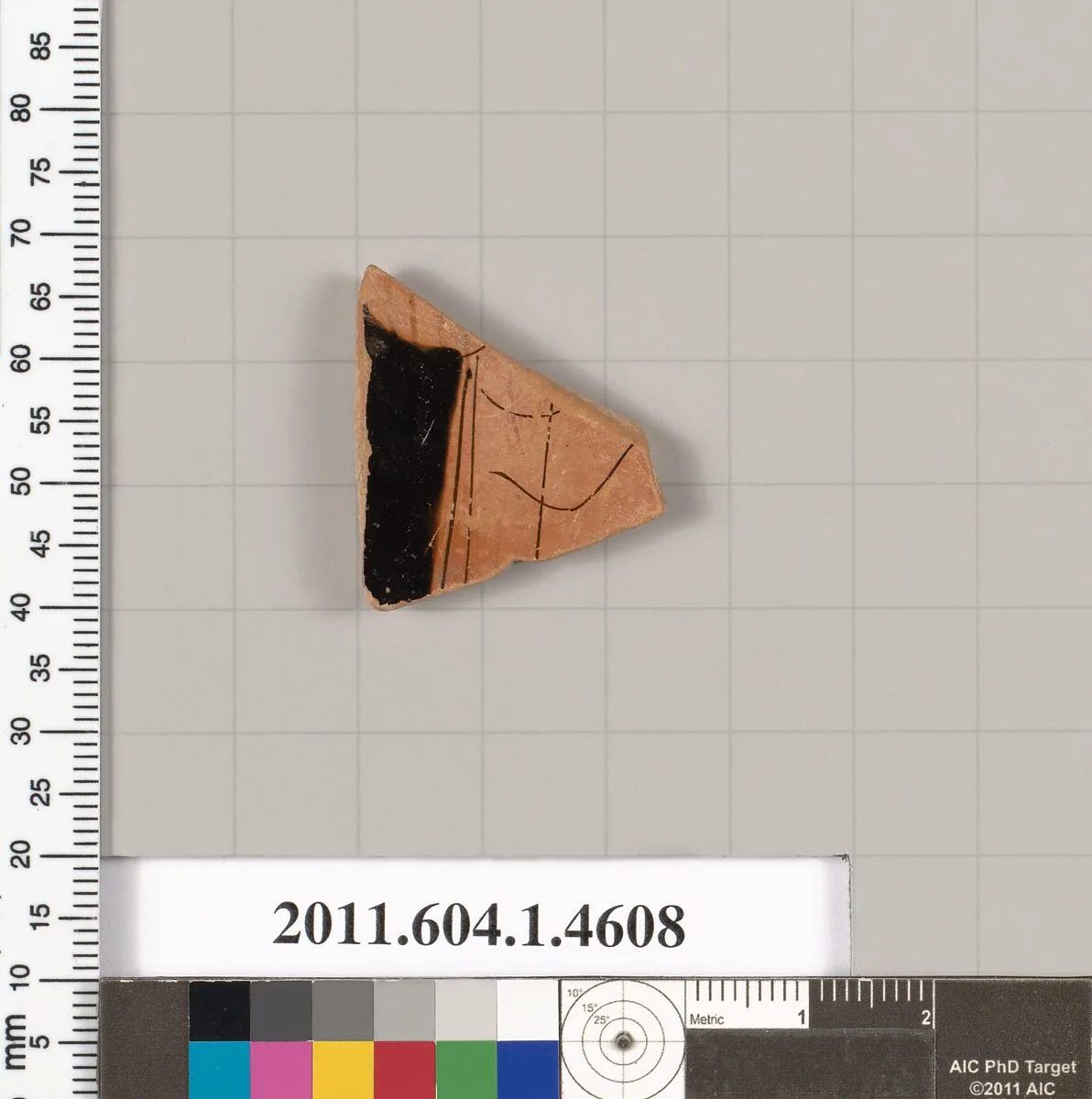 Terracotta fragment of a kylix (drinking cup) — Unknown